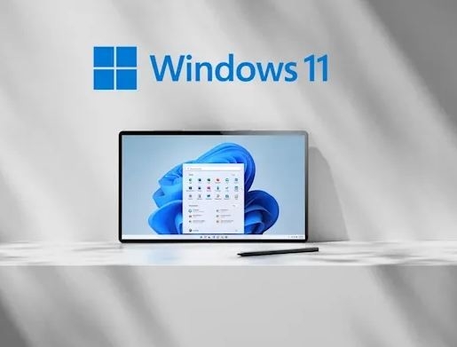Genuine Microsoft Windows 11 Pro 64 Bit / Windows 10 Product Key COA