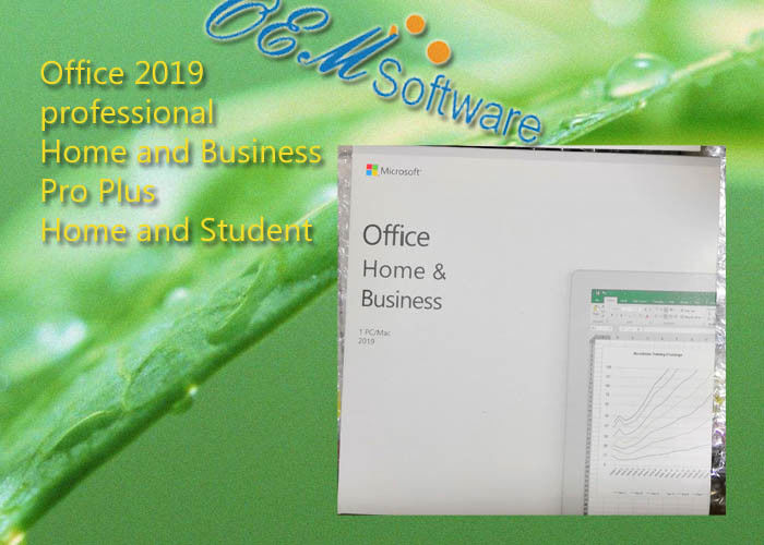 DVD Box Microsoft Office Home And Business 2019 Fpp Package Retail Key